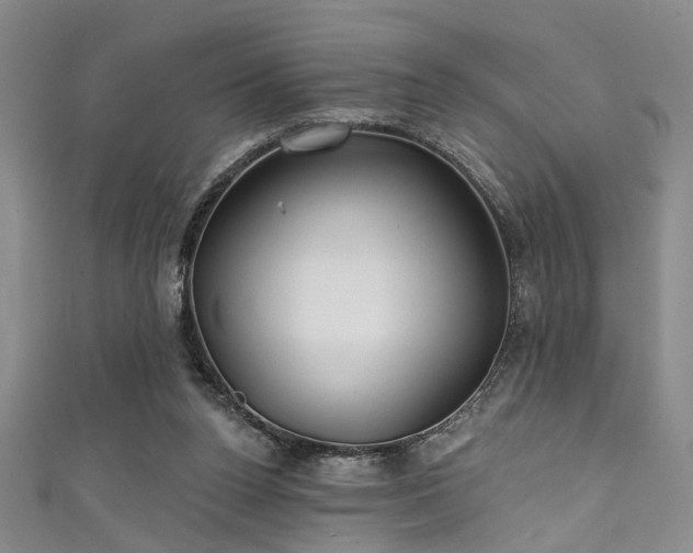 X0000111590160200907161500