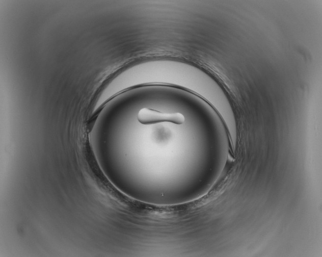 X0000111590164200907161501