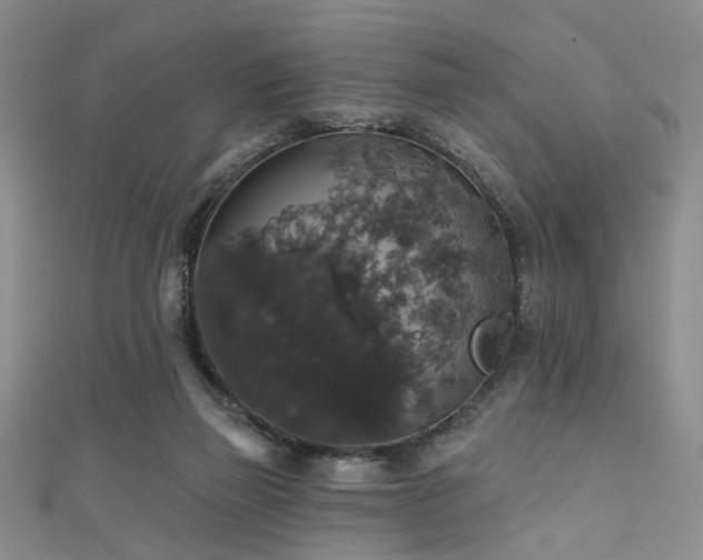 X0000111590165200907161501