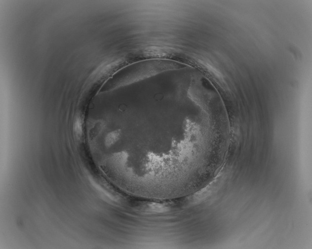 X0000111590166200907161501