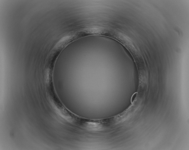 X0000111590167200907161501