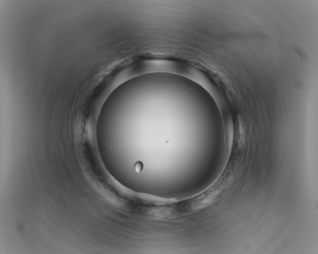 X0000111590168200907161501