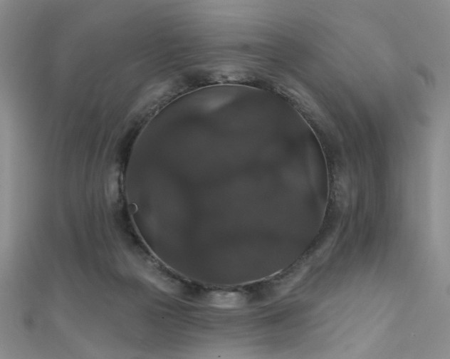 X0000111590169200907161501