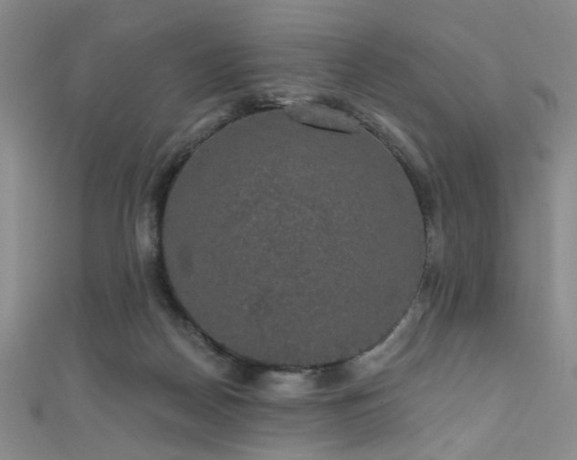 X0000111590170200907161501