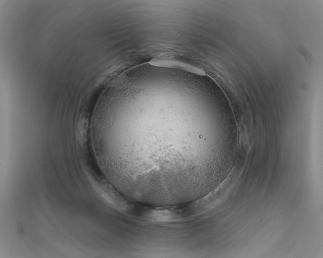 X0000111590171200907161501