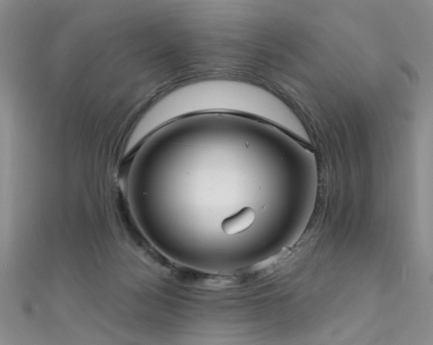 X0000111590172200907161501