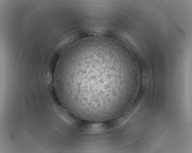 X0000111590173200907161501