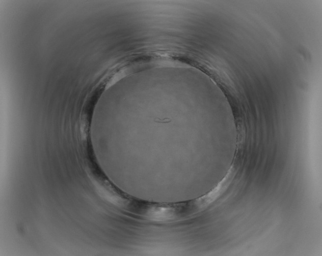 X0000111590174200907161501