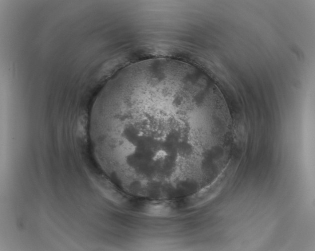 X0000111590175200907161501