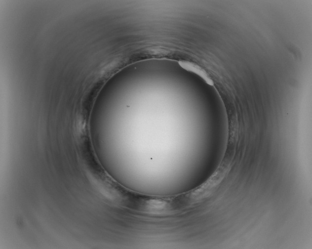 X0000111590176200907161501