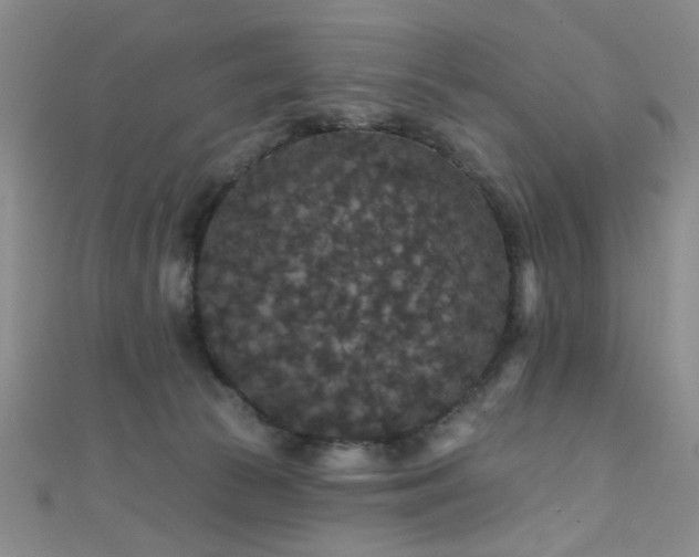 X0000111590177200907161501