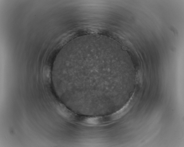 X0000111590178200907161501