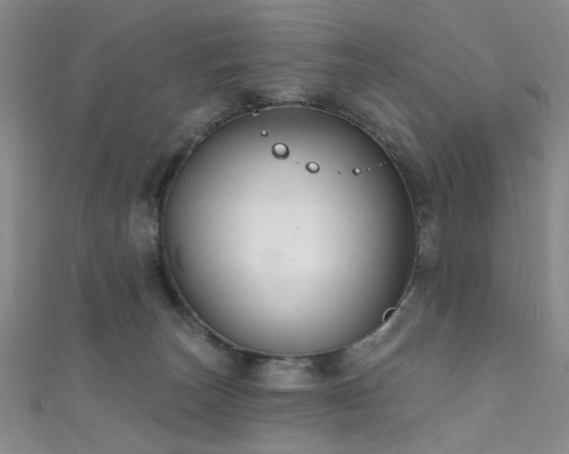 X0000111590179200907161501