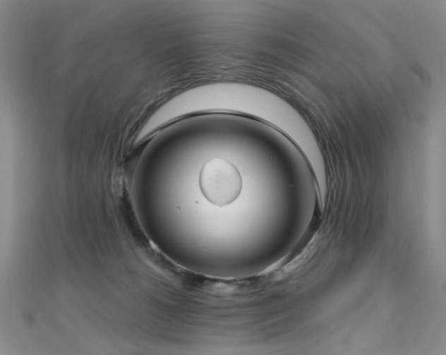 X0000111590180200907161501