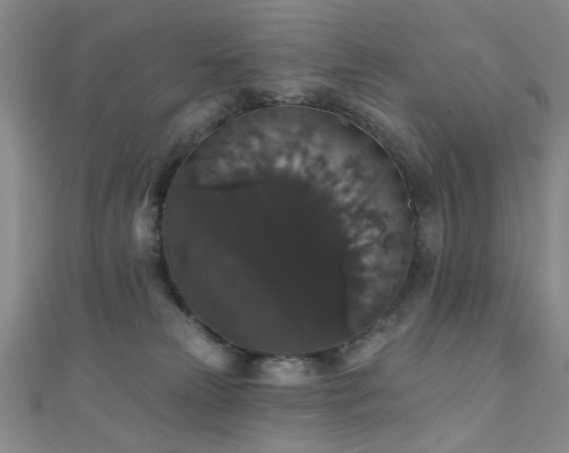 X0000111590181200907161501