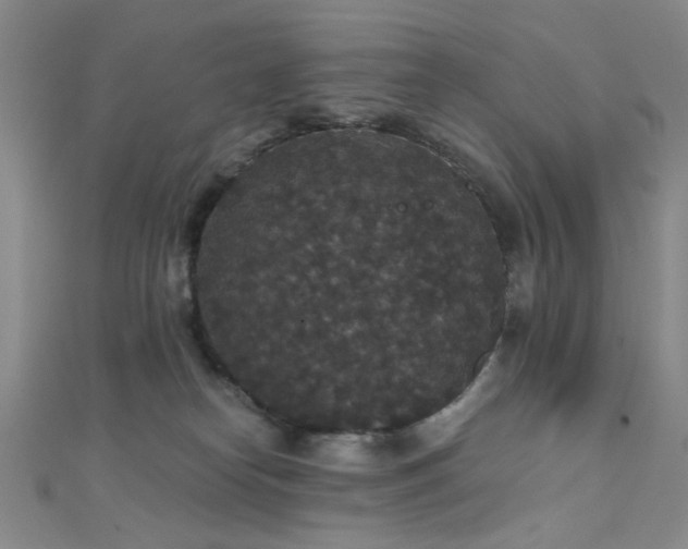 X0000111590182200907161501