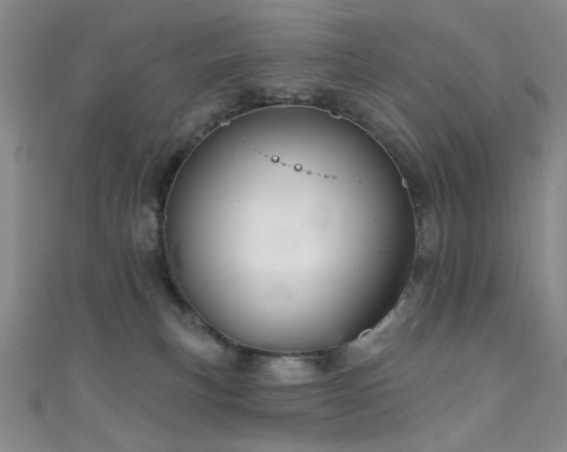 X0000111590183200907161501