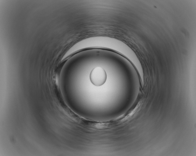 X0000111590184200907161501