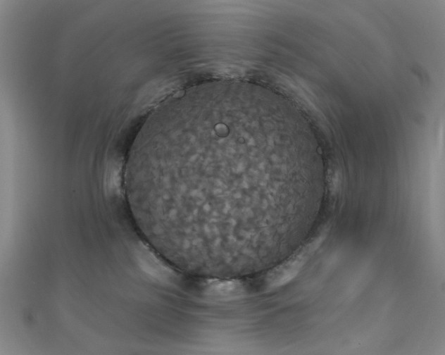 X0000111590185200907161501