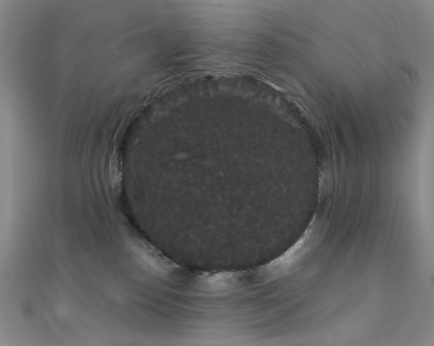 X0000111590186200907161501