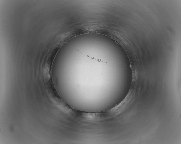 X0000111590187200907161501