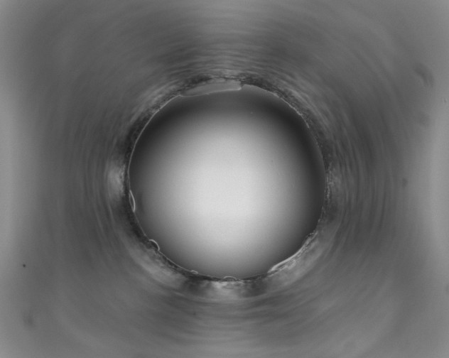 X0000111590188200907161501