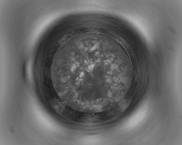 X0000111590189200907161501