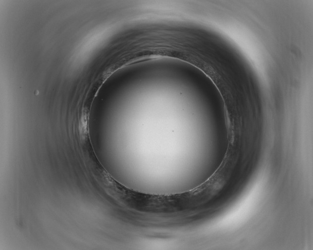 X0000111590190200907161501