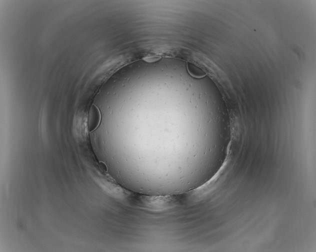 X0000111590191200907161501