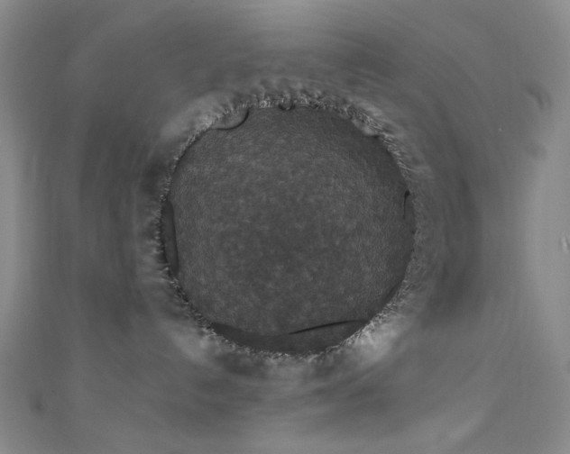 X0000111590192200907161501