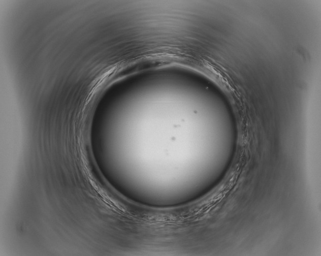 X0000111590193200907161500