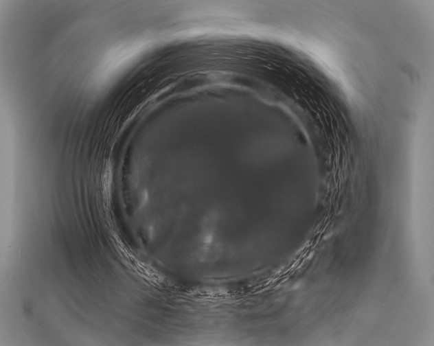 X0000111590194200907161500