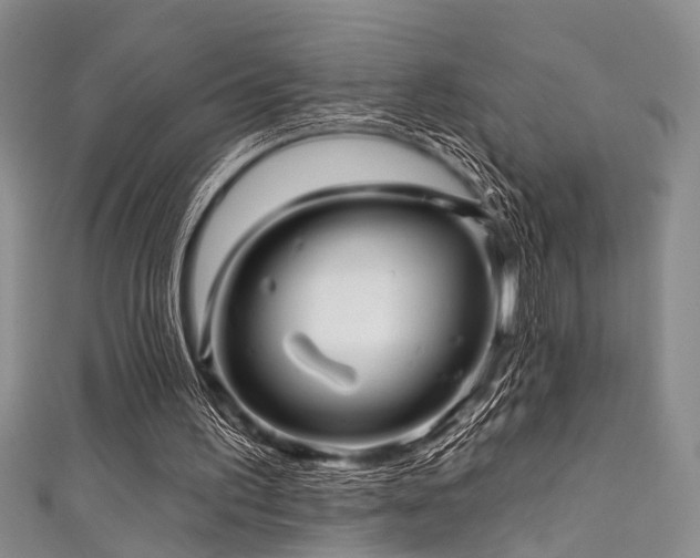 X0000111590195200907161500