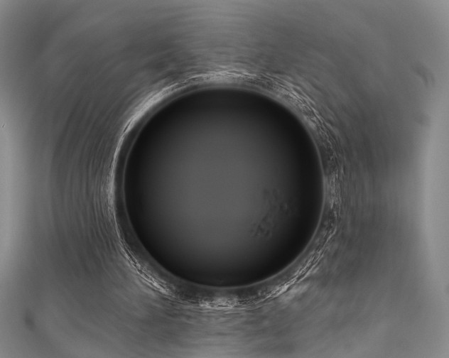 X0000111590196200907161500