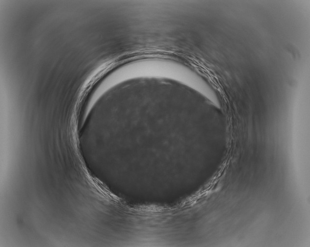 X0000111590197200907161500