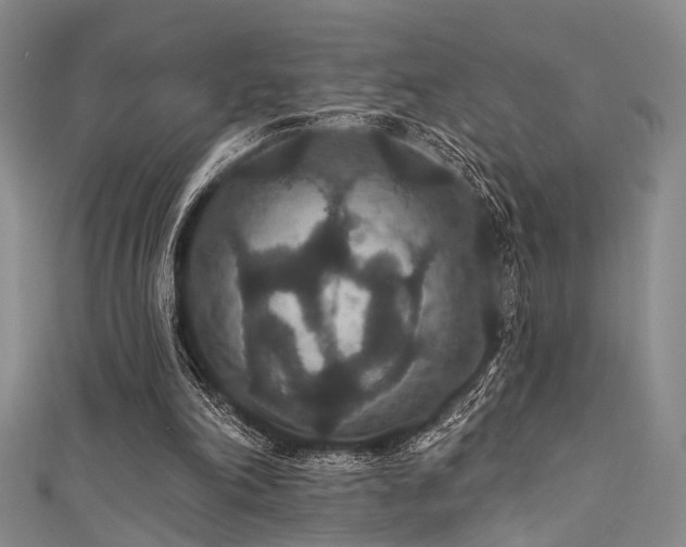 X0000111590198200907161500