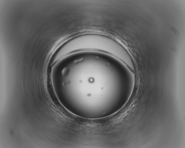 X0000111590199200907161500