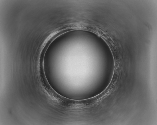 X0000111590200200907161500