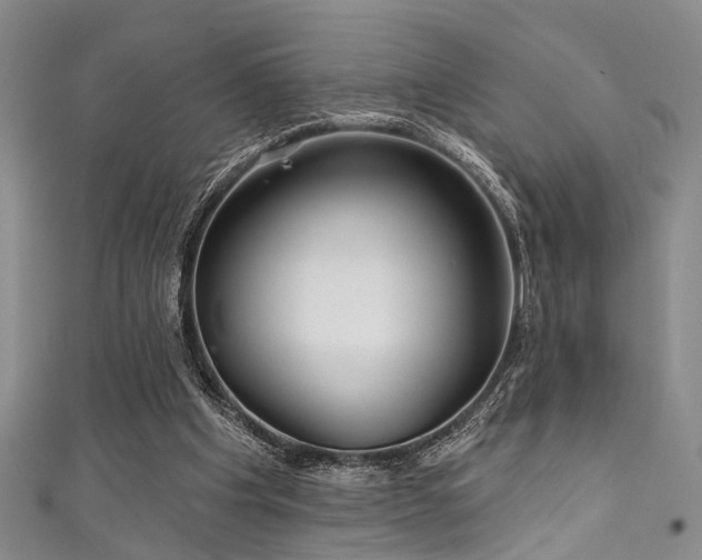 X0000111590201200907161500