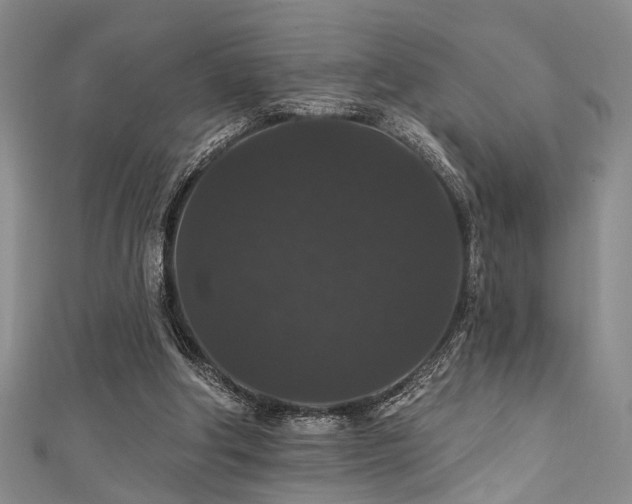 X0000111590202200907161500