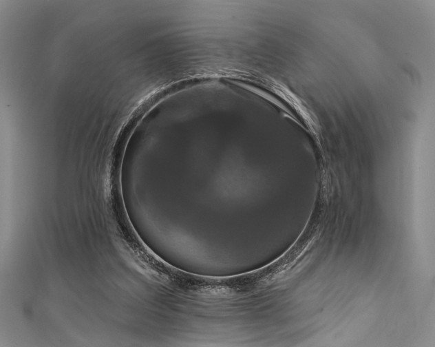 X0000111590203200907161500