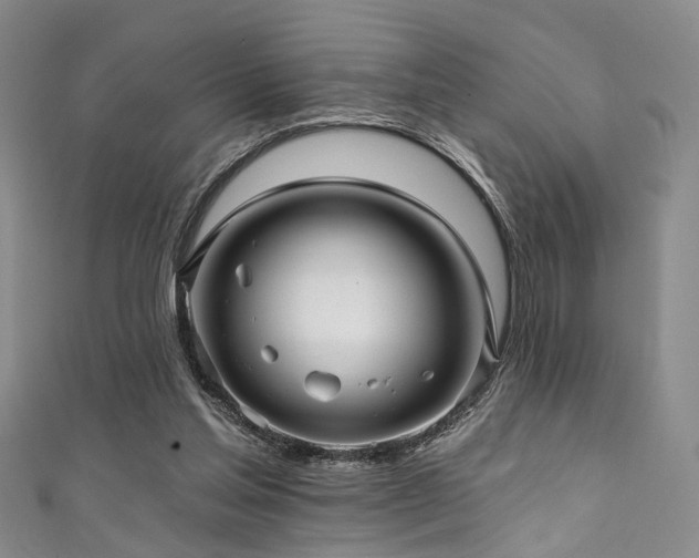 X0000111590205200907161500