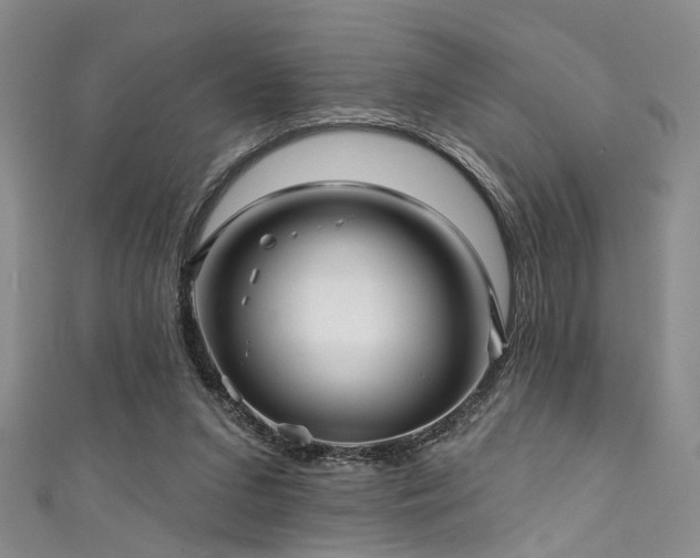 X0000111590207200907161500