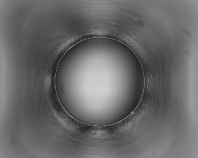 X0000111590208200907161500