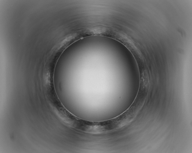 X0000111590212200907161500