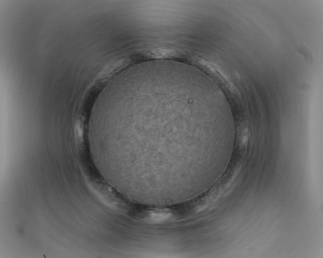 X0000111590214200907161500