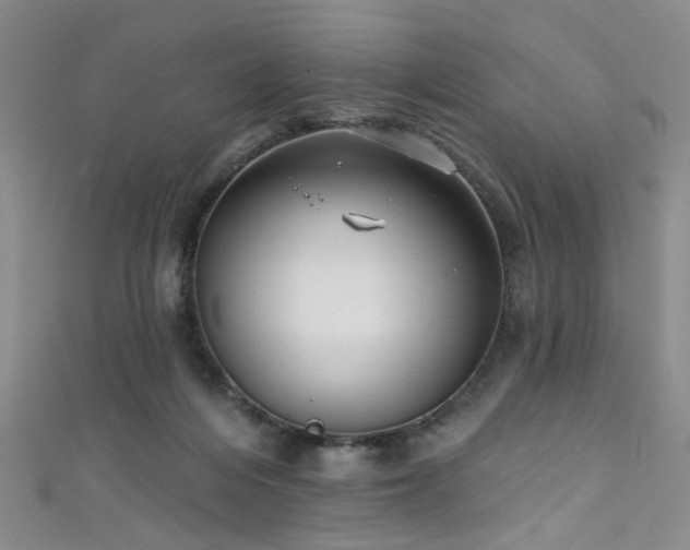 X0000111590216200907161500