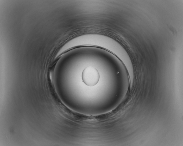 X0000111590217200907161500