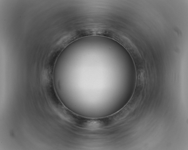 X0000111590218200907161500