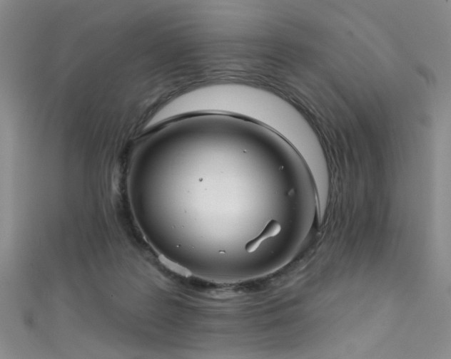 X0000111590219200907161500